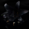 Shine Duo - Image 3